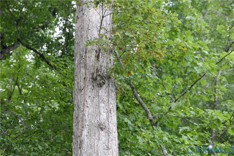 Tiny photo for 0 Moorefield Road, Mineral, VA 23117 (MLS # 2618816)