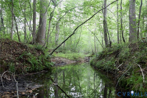 Tiny photo for 0 Moorefield Road, Mineral, VA 23117 (MLS # 2618816)