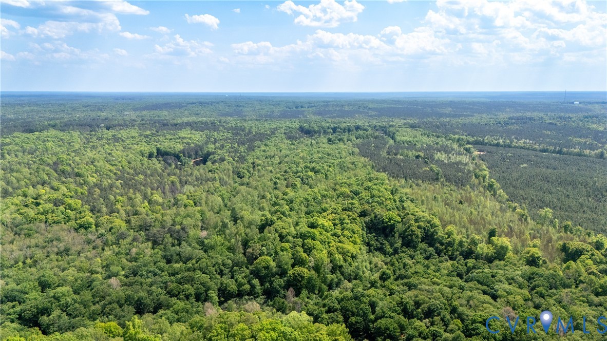 10500 Reedy Branch Road