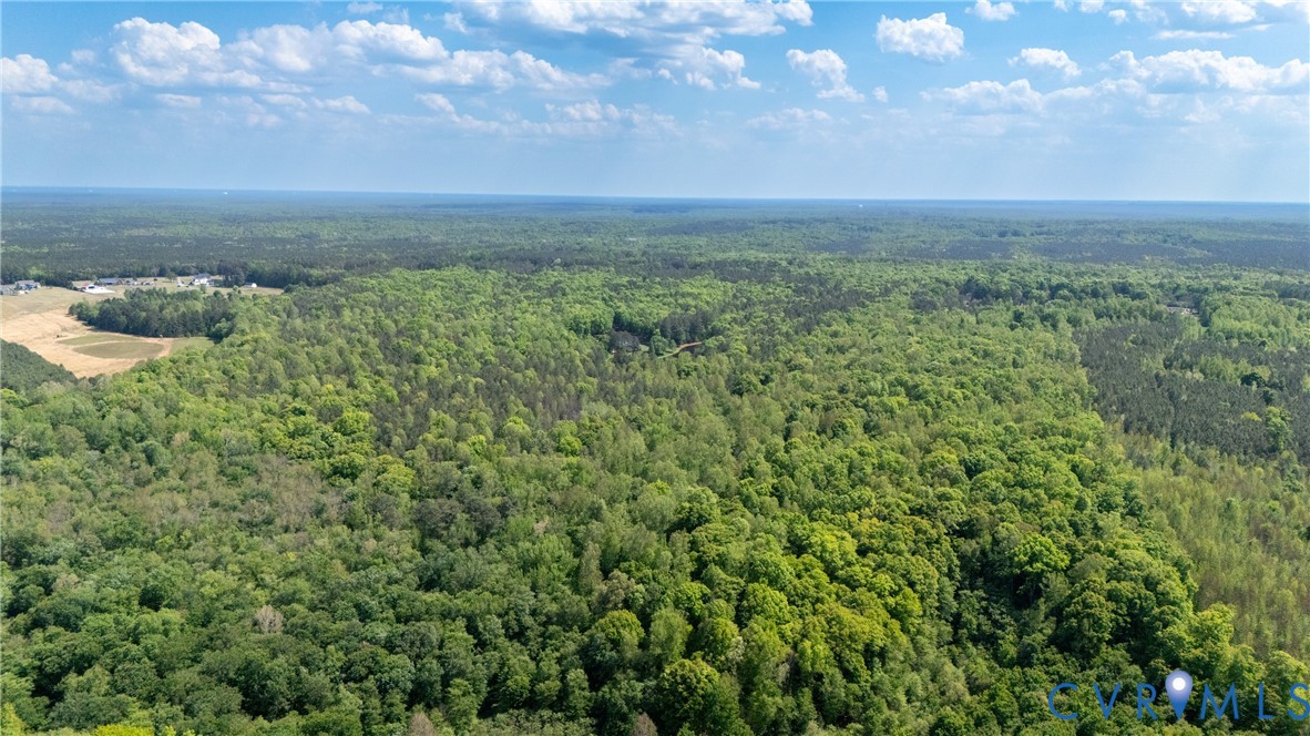 10500 Reedy Branch Road