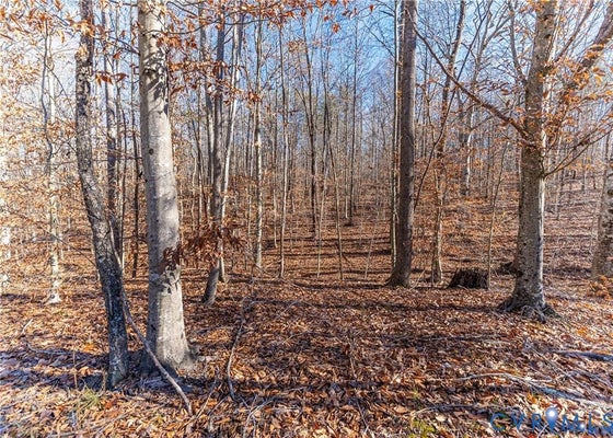 PALS DR, POWHATAN, VA 23139 - Image 6776e0ee2d61d71653d9d189e2201431/2185183506