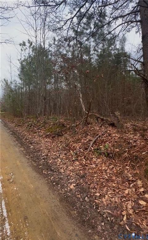 Tiny photo for 000 CLARKE RD, New Kent, VA 23124 (MLS # 2525537)