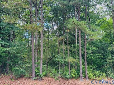 Photo of 11301 Brooks Street, Greenwood, VA 23059 (MLS # 2527685)