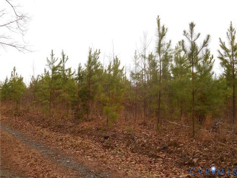 Tiny photo for 0 Covered Bridge Road, Kents Store, VA 23084 (MLS # 2604555)