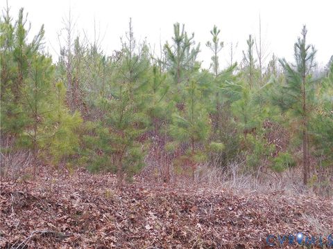 Tiny photo for 0 Covered Bridge Road, Kents Store, VA 23084 (MLS # 2604555)