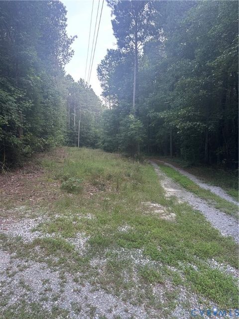 Tiny photo for 000 Loco School Road, Sussex, VA 23882 (MLS # 2521022)