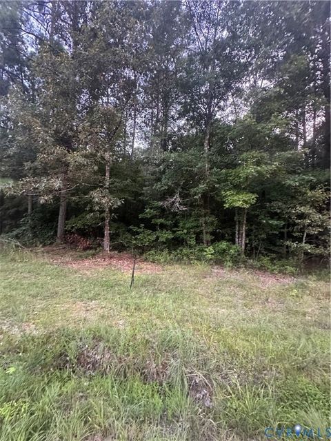 Tiny photo for 000 Loco School Road, Sussex, VA 23882 (MLS # 2521022)