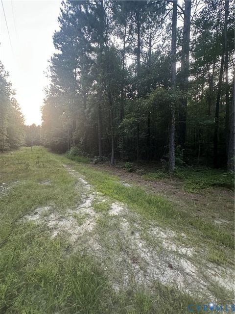 Tiny photo for 000 Loco School Road, Sussex, VA 23882 (MLS # 2521022)