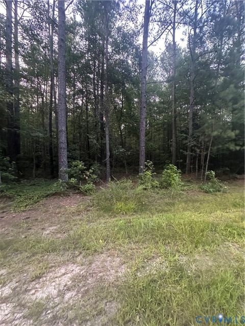 Tiny photo for 000 Loco School Road, Sussex, VA 23882 (MLS # 2521022)