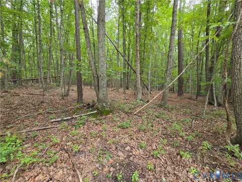 Photo of 5.6 Ac Meadow Creek Road, Wingina, VA 24599 (MLS # 2626335)