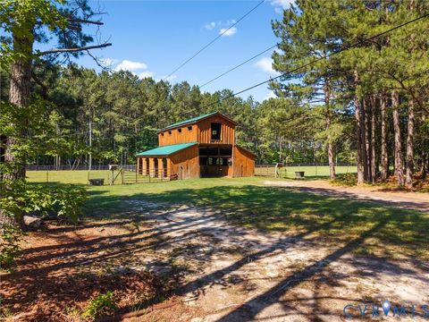 Tiny photo for 3700 Old Wood Road, South Prince George, VA 23805 (MLS # 2617156)