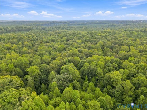 Tiny photo for 00 US Route 1, Ruther Glen, VA 22546 (MLS # 2623922)