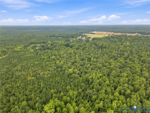 Tiny photo for 00 US Route 1, Ruther Glen, VA 22546 (MLS # 2623922)