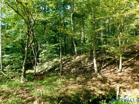 Tiny photo for 2515 Jerico Road, Buckingham, VA 23921 (MLS # 2628058)