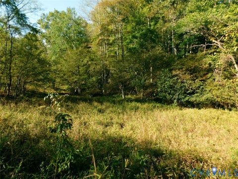 Tiny photo for 2515 Jerico Road, Buckingham, VA 23921 (MLS # 2628058)
