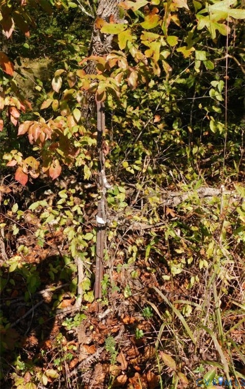 Tiny photo for 2515 Jerico Road, Buckingham, VA 23921 (MLS # 2628058)