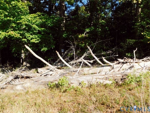 Tiny photo for 2515 Jerico Road, Buckingham, VA 23921 (MLS # 2628058)