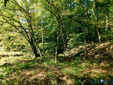 Tiny photo for 2515 Jerico Road, Buckingham, VA 23921 (MLS # 2628058)