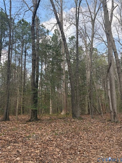 Photo of 0 Richmond Road, Amelia, VA 23002 (MLS # 2608404)