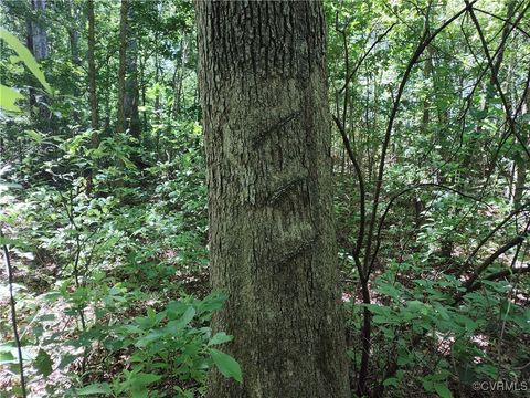 Tiny photo for N/A Blue Star Hwy, Jarratt, VA 23867 (MLS # 2515847)