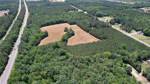 Tiny photo for N/A Blue Star Hwy, Jarratt, VA 23867 (MLS # 2515847)