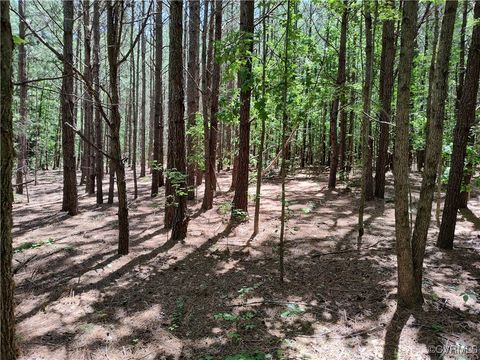 Tiny photo for N/A Blue Star Hwy, Jarratt, VA 23867 (MLS # 2515847)