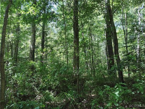 Tiny photo for N/A Blue Star Hwy, Jarratt, VA 23867 (MLS # 2515847)