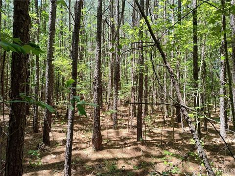 Tiny photo for N/A Blue Star Hwy, Jarratt, VA 23867 (MLS # 2515847)