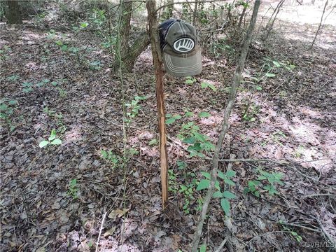 Tiny photo for N/A Blue Star Hwy, Jarratt, VA 23867 (MLS # 2515847)