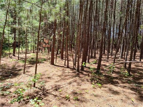 Tiny photo for N/A Blue Star Hwy, Jarratt, VA 23867 (MLS # 2515847)