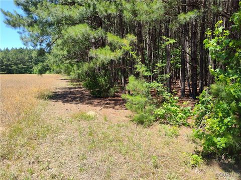 Tiny photo for N/A Blue Star Hwy, Jarratt, VA 23867 (MLS # 2515847)