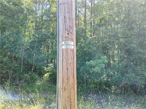 Tiny photo for N/A Blue Star Hwy, Jarratt, VA 23867 (MLS # 2515847)