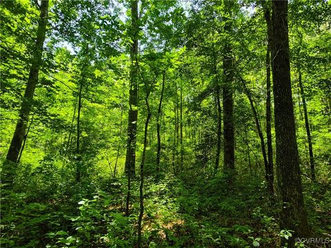 Tiny photo for N/A Blue Star Hwy, Jarratt, VA 23867 (MLS # 2515847)