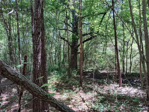 Tiny photo for N/A Blue Star Hwy, Jarratt, VA 23867 (MLS # 2515847)