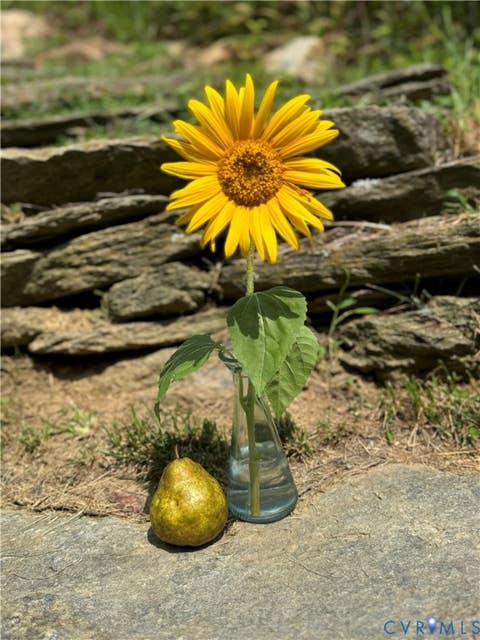 Tiny photo for 17 River Bend Road, Mouth of Wilson, VA 24363 (MLS # 2622669)