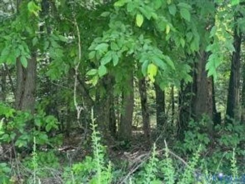 Tiny photo for Beaverdam, VA 23015 (MLS # 2604803)