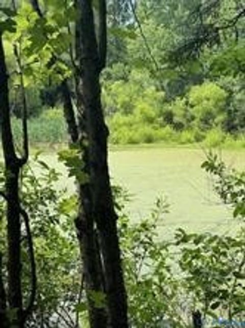 Tiny photo for Beaverdam, VA 23015 (MLS # 2604803)