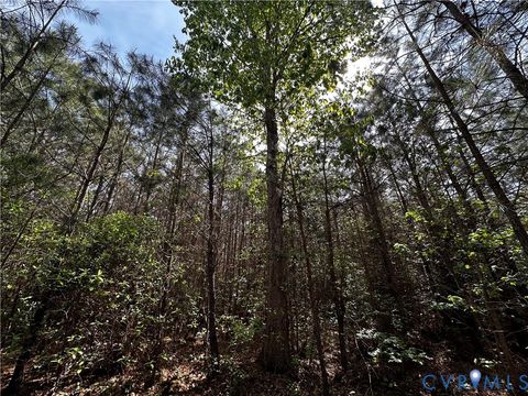 Photo of 00 N Turnpike Rd RD, Bohannon, VA 23109 (MLS # 2613306)