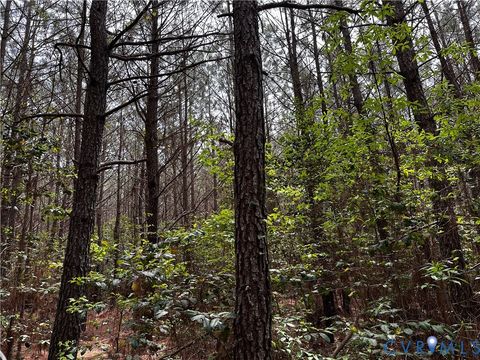 Tiny photo for 00 N Turnpike Rd RD, Bohannon, VA 23109 (MLS # 2613306)