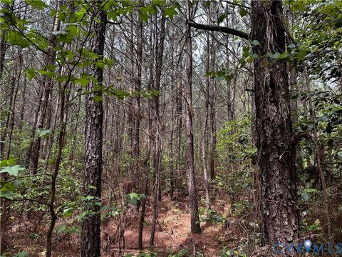 Tiny photo for 00 N Turnpike Rd RD, Bohannon, VA 23109 (MLS # 2613306)