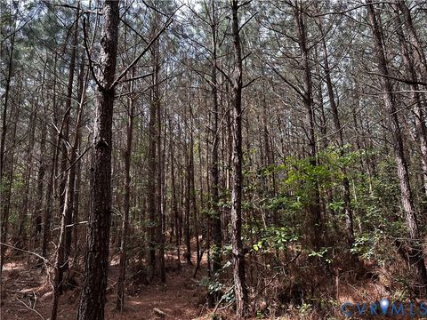 Tiny photo for 00 N Turnpike Rd RD, Bohannon, VA 23109 (MLS # 2613306)