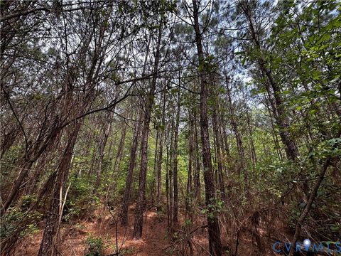 Tiny photo for 00 N Turnpike Rd RD, Bohannon, VA 23109 (MLS # 2613306)