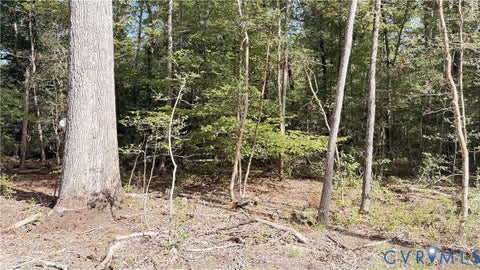 Tiny photo for W.RoseGaerden rd W.Garden Rd, King William, VA 23086 (MLS # 2626640)