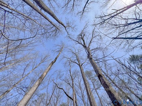 Tiny photo for 49.26 Acres Jericho Road, Ruther Glen, VA 22546 (MLS # 2603754)