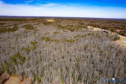 Tiny photo for 49.26 Acres Jericho Road, Ruther Glen, VA 22546 (MLS # 2603754)