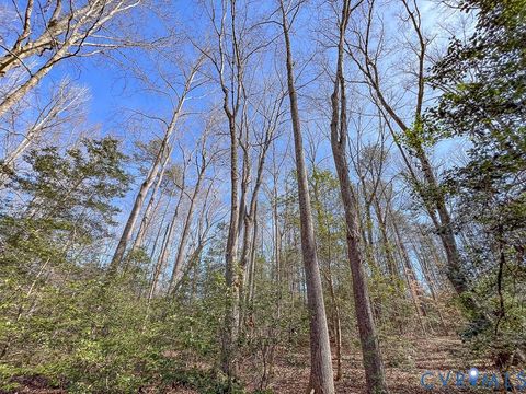 Tiny photo for 49.26 Acres Jericho Road, Ruther Glen, VA 22546 (MLS # 2603754)