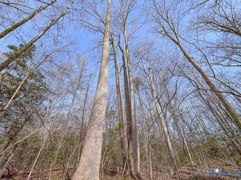 Tiny photo for 49.26 Acres Jericho Road, Ruther Glen, VA 22546 (MLS # 2603754)