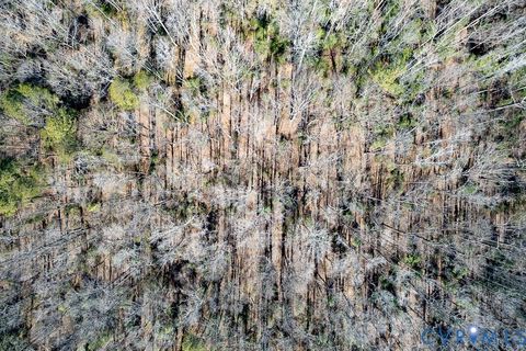 Tiny photo for 49.26 Acres Jericho Road, Ruther Glen, VA 22546 (MLS # 2603754)