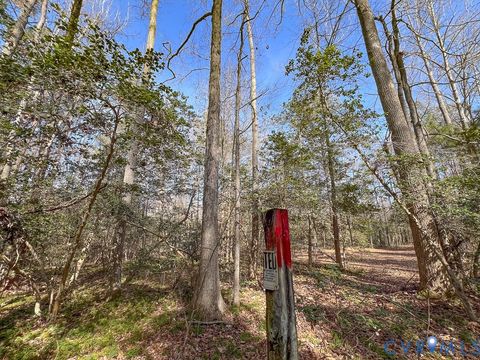 Tiny photo for 49.26 Acres Jericho Road, Ruther Glen, VA 22546 (MLS # 2603754)