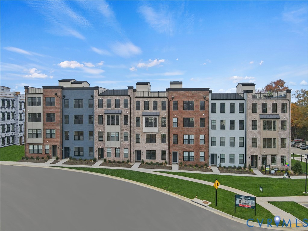 3600 Daisy Field Walk B